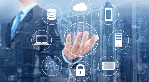 站在风口上，猪都能飞起来？真正厉害的人，除了机遇，还需要掌握数字内容制作服务